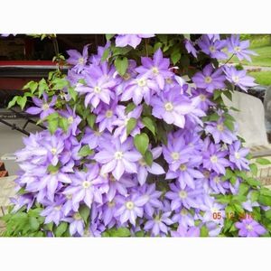 Meet your Posher, Shawna